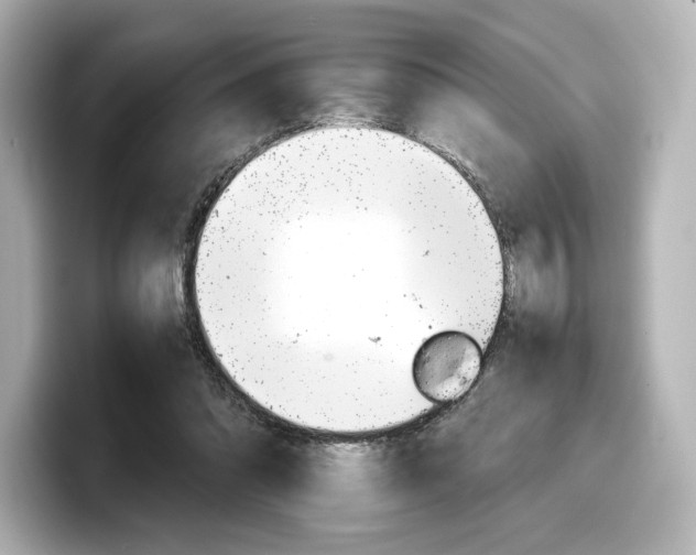 X0000098190302200804241056