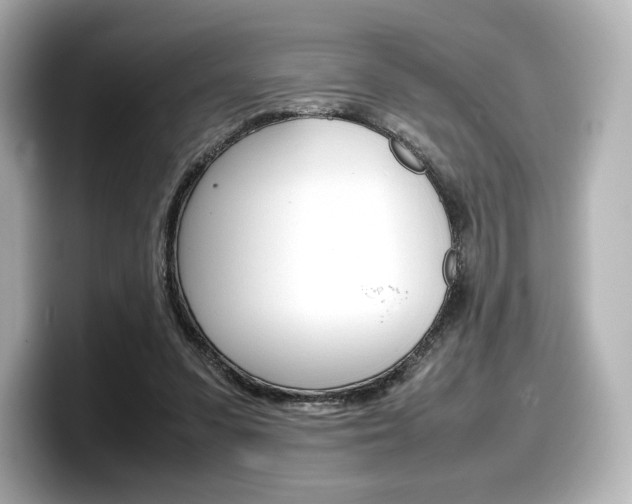 X0000098190303200804241056