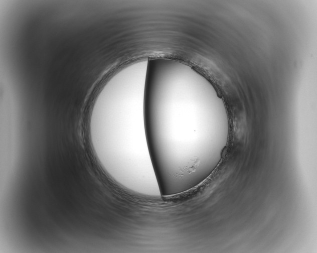 X0000098190304200804241056