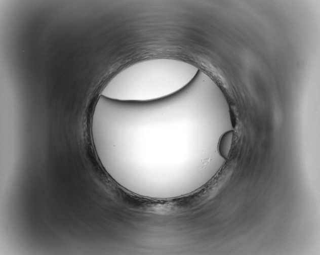 X0000098190306200804241056