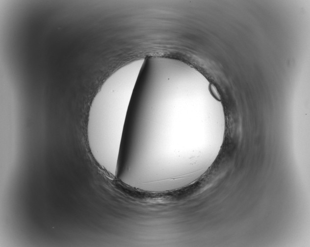 X0000098190307200804241056