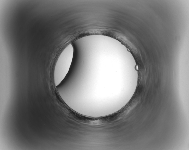 X0000098190309200804241056