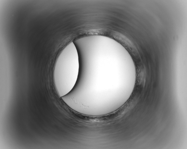 X0000098190310200804241056