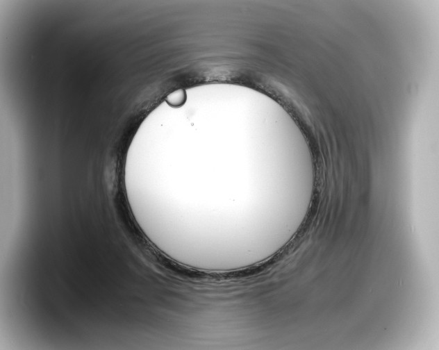 X0000098190311200804241056