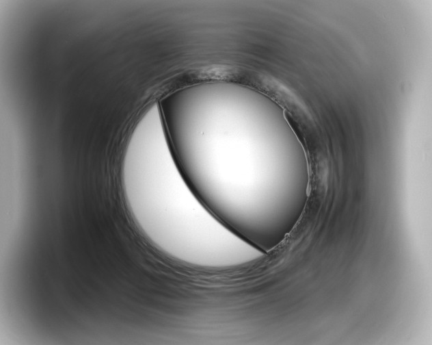 X0000098190312200804241056