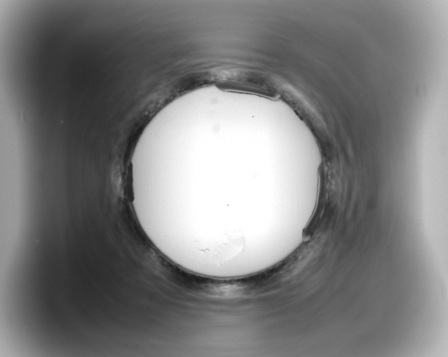 X0000098190313200804241056