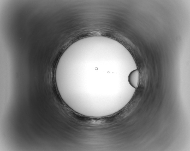 X0000098190314200804241056