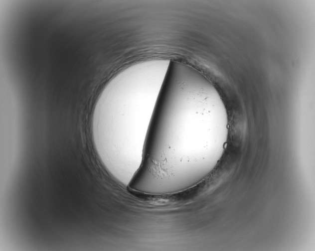 X0000098190315200804241056