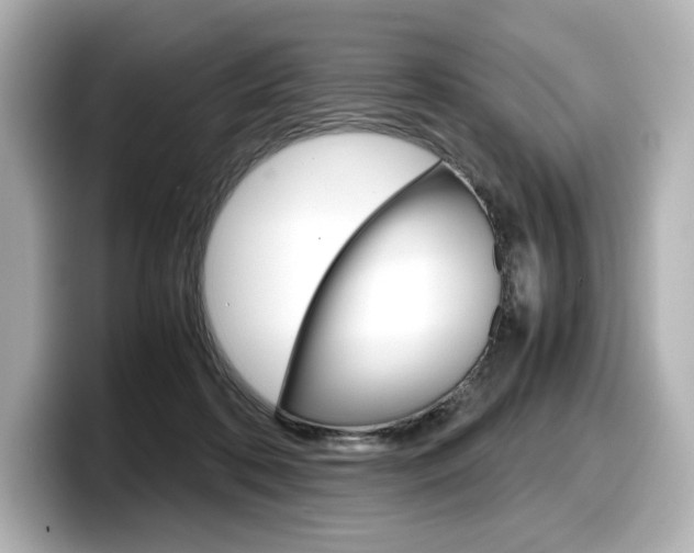 X0000098190316200804241056