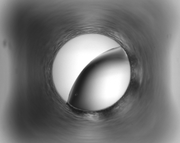 X0000098190317200804241056