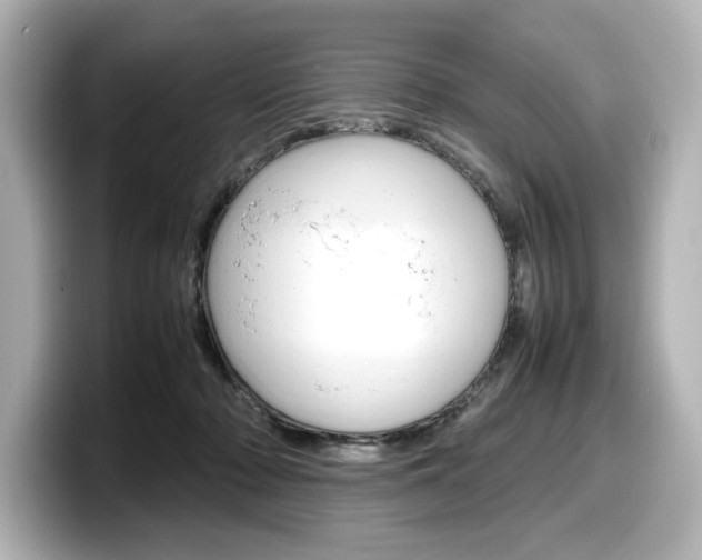 X0000098190318200804241056