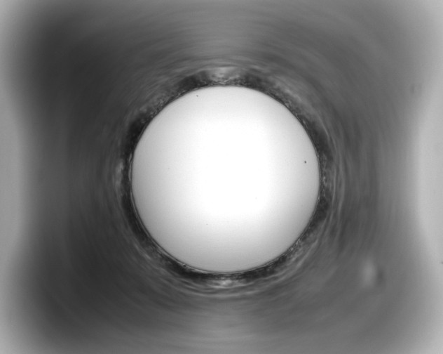 X0000098190319200804241056