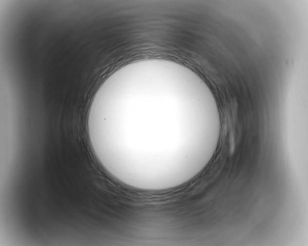 X0000098190320200804241056