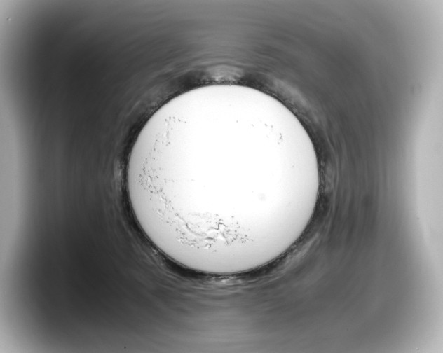 X0000098190321200804241056