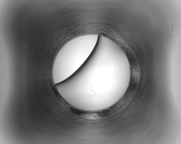 X0000098190322200804241056