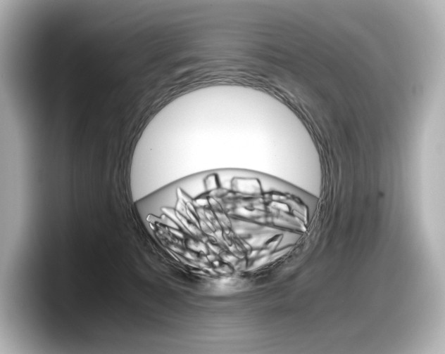 X0000098190323200804241056