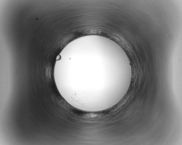 X0000098190326200804241056