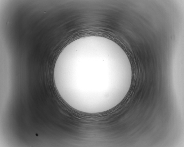 X0000098190328200804241056
