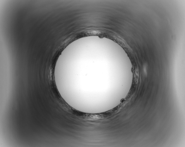 X0000098190330200804241056