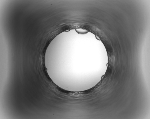 X0000098190331200804241056