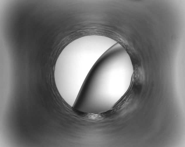 X0000098190333200804241056