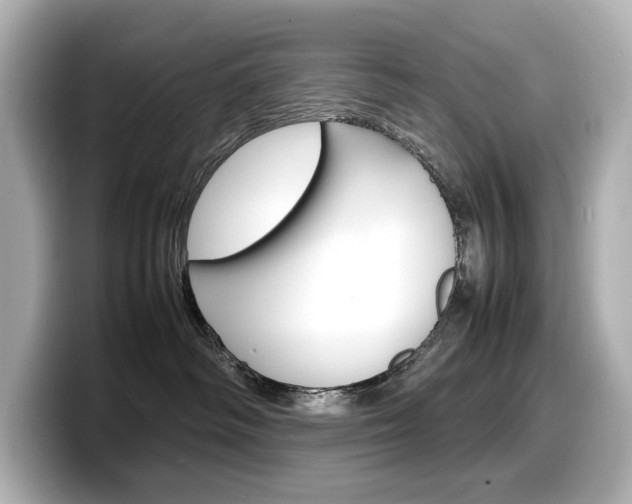X0000098190334200804241056