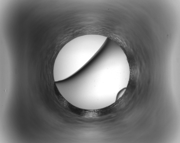 X0000098190335200804241056