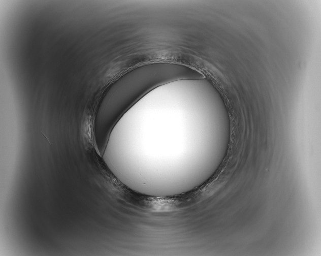 X0000098190336200804241056