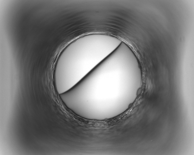 X0000098190337200804241055