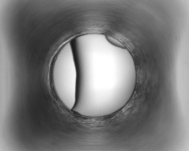 X0000098190338200804241055