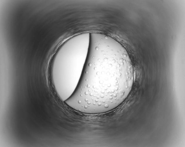 X0000098190339200804241055