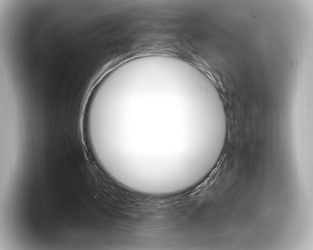 X0000098190340200804241055