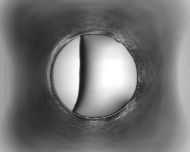 X0000098190341200804241055
