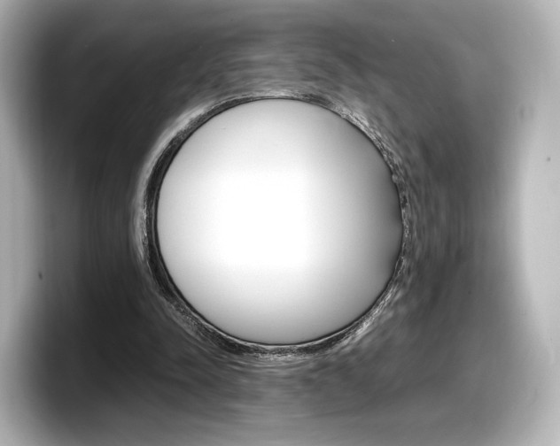 X0000098190342200804241055
