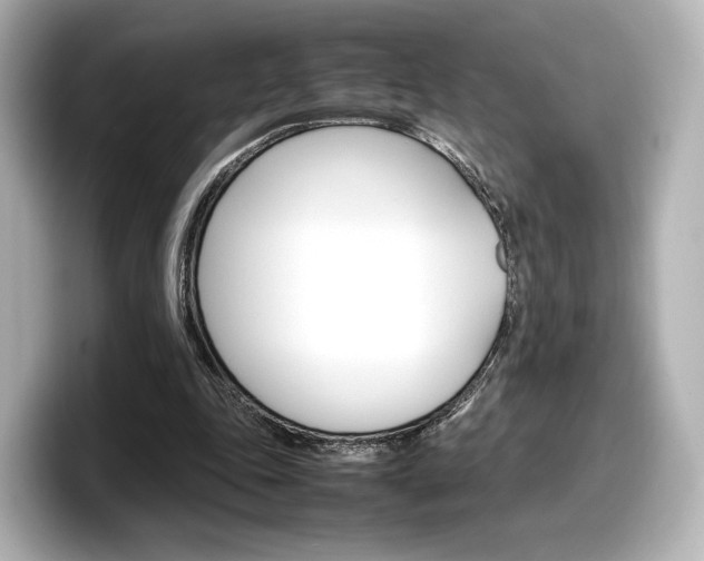 X0000098190343200804241055