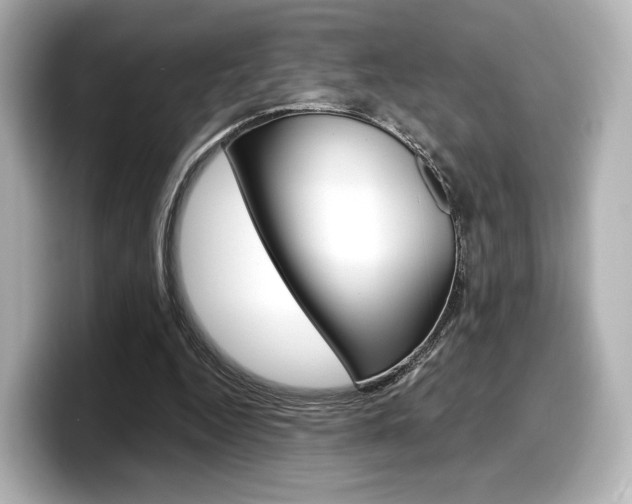 X0000098190344200804241055