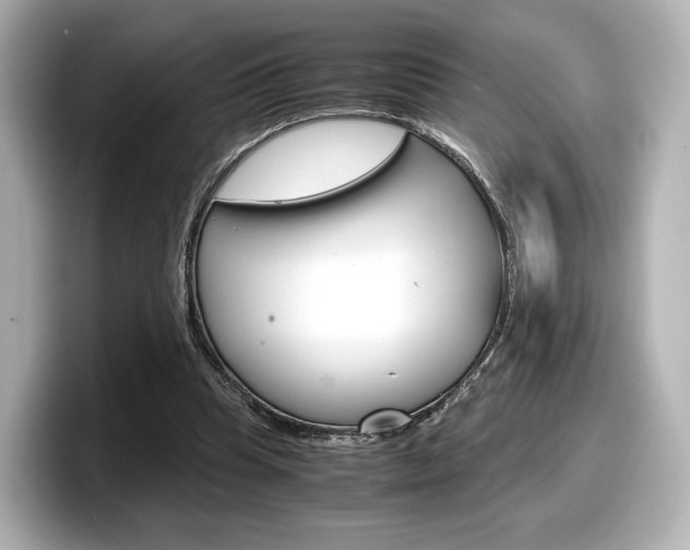 X0000098190345200804241055