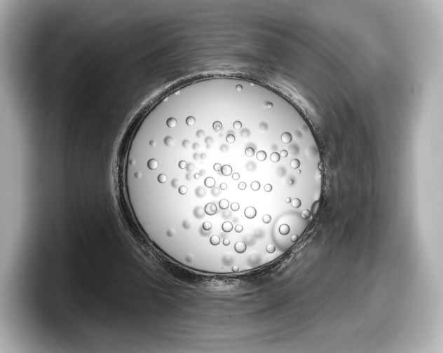 X0000098190346200804241055