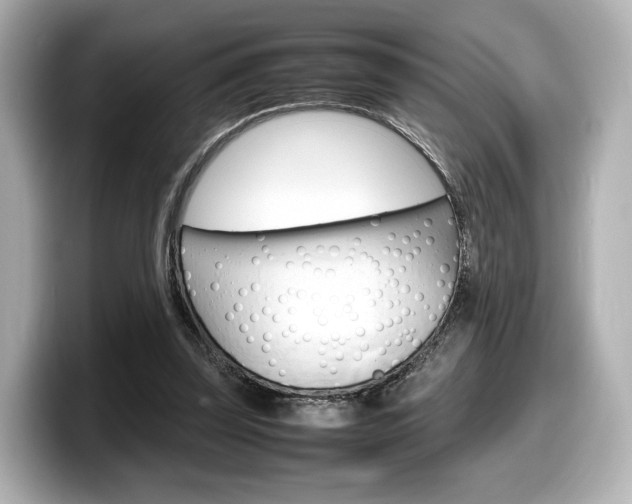 X0000098190347200804241055