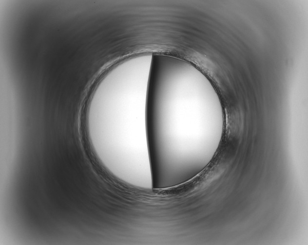 X0000098190348200804241055
