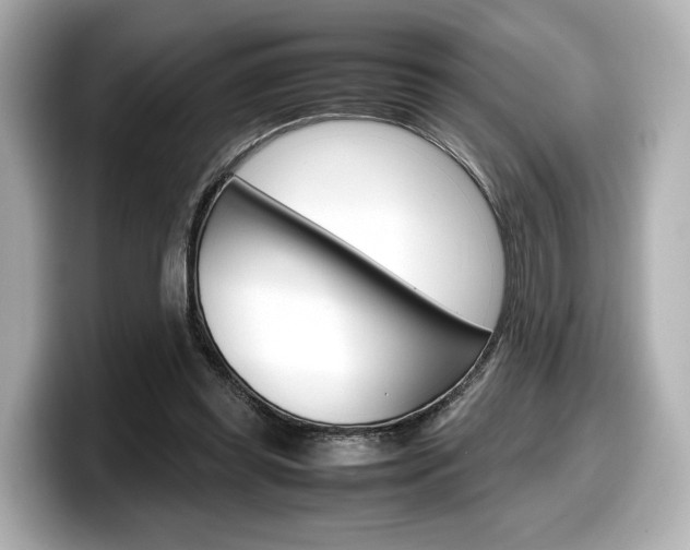 X0000098190349200804241055
