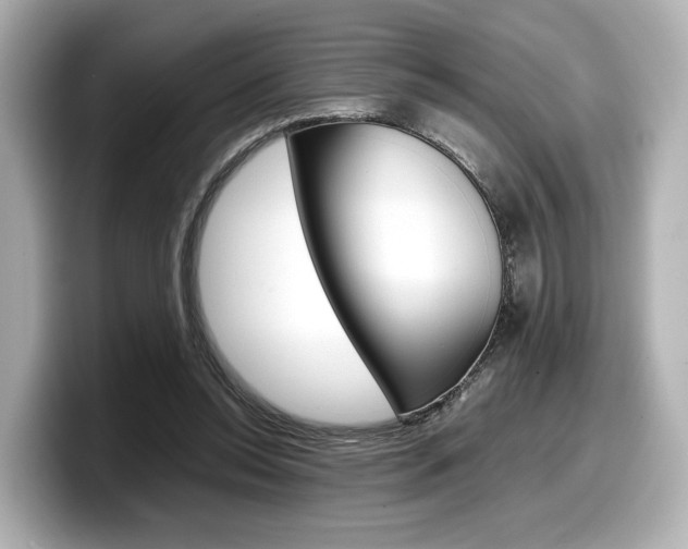 X0000098190350200804241055