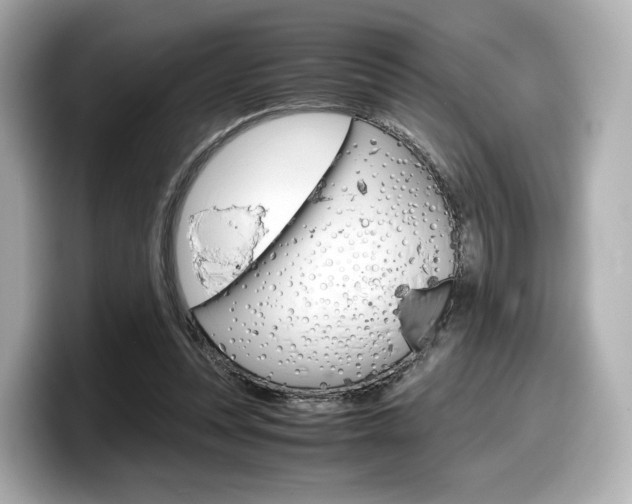 X0000098190351200804241055