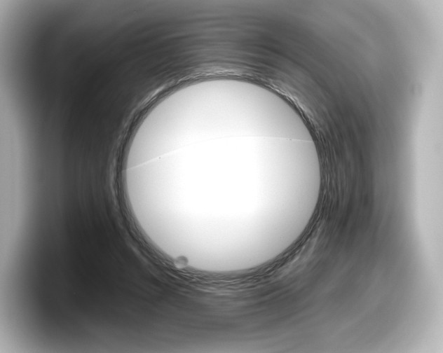 X0000098190352200804241055
