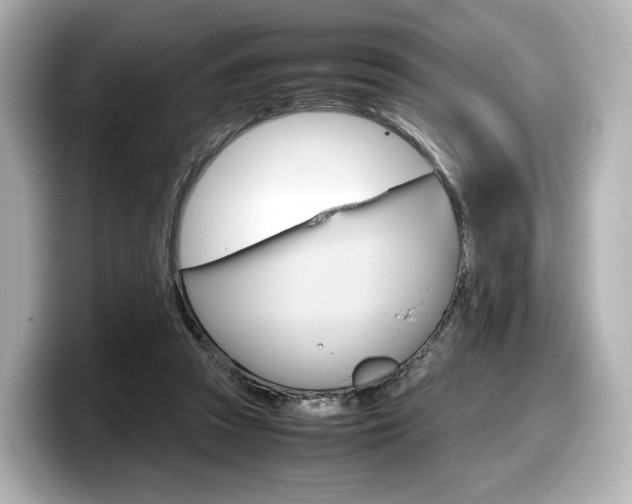 X0000098190353200804241056