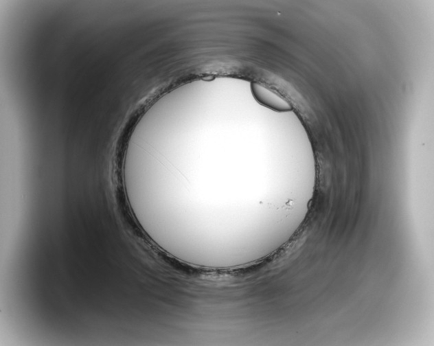 X0000098190354200804241056