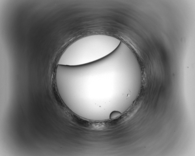 X0000098190355200804241056