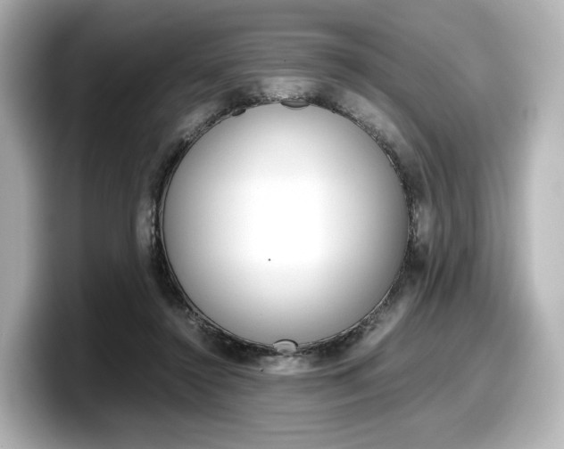 X0000098190356200804241056