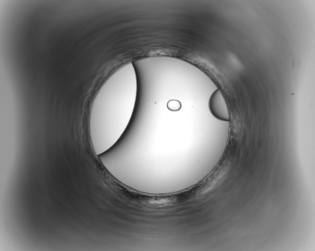 X0000098190357200804241056