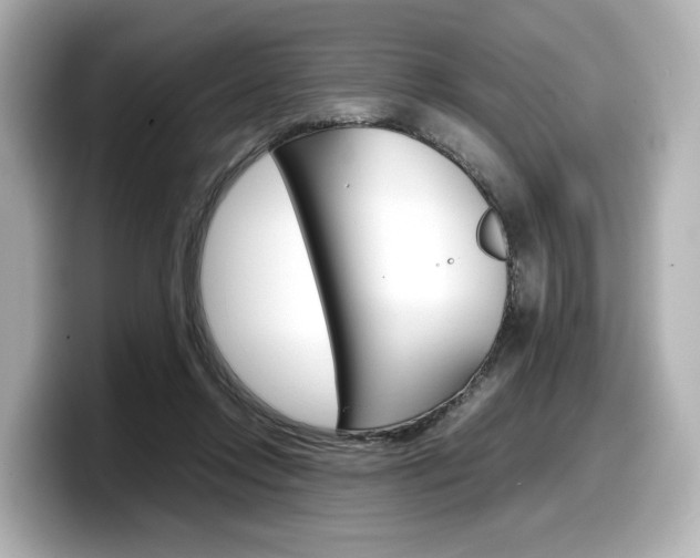 X0000098190358200804241056